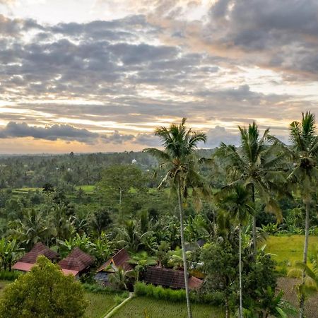 Wina Wani Bungalows Tetebatu Exterior photo